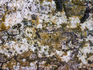 luxury ornamental mandala background design.Round gradient mandala isolated background. Vector boho mandala in luxury golden and pink colors. 