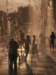 people walking in the city