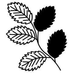 Mint leaf glyph and line vector illustration