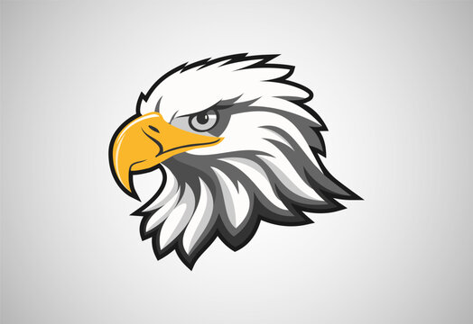 Eagle head logo vector illustration. Mascot head of an Eagle