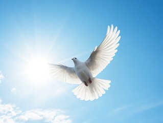 Obraz premium Dove in Flight Freedom and Hope Isolated on White Background AI Generated