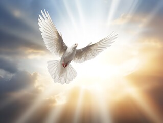 Fototapeta premium Dove in Flight Freedom and Hope Isolated on White Background AI Generated