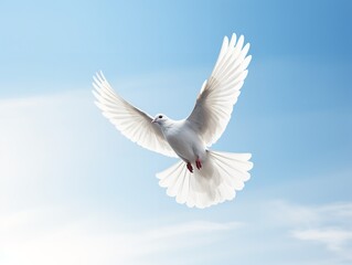 Obraz premium Dove in Flight Freedom and Hope Isolated on White Background AI Generated