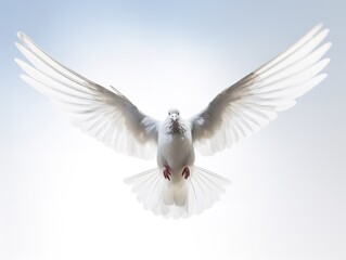 Obraz premium Dove in Flight Freedom and Hope Isolated on White Background AI Generated
