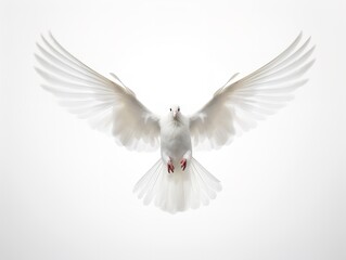 Fototapeta premium Dove in Flight Freedom and Hope Isolated on White Background AI Generated