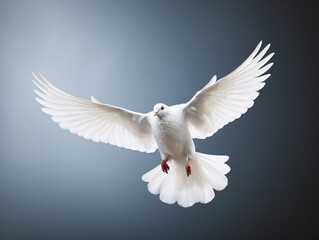 Dove in Flight Freedom and Hope Isolated on White Background AI Generated