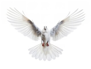 Naklejka premium Dove in Flight Freedom and Hope Isolated on White Background AI Generated
