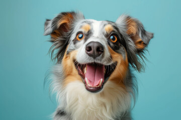 a dog with its eyes closed in joy, mouth open in a carefree smile against a light blue pastel background.