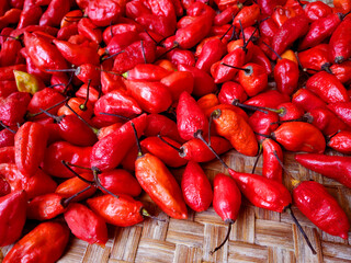 bhut jolokia ghost pepper isolated on white background. fresh Carolina Reaper.