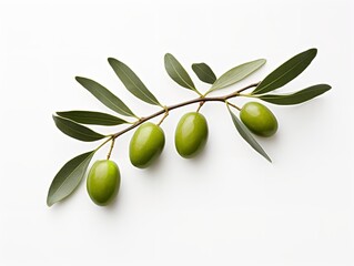 Olive Branch Symbol of Peace and Harmony Isolated on White Background AI Generated