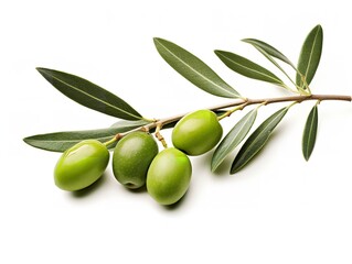 Olive Branch Symbol of Peace and Harmony Isolated on White Background AI Generated
