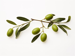 Olive Branch Symbol of Peace and Harmony Isolated on White Background AI Generated