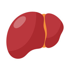 Cartoon healthy liver human body organ icon.