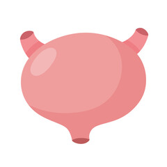 human bladder organ icon.