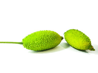 Spiny gourd or spine gourd also known as bristly balsma pear, prickly carolaho isolated on white...
