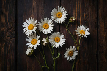 Top view of daisies on dark wooden table