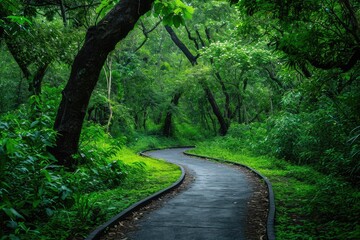 A winding road curves its way through a dense and vibrant green forest with towering trees, A pathway meandering through a lush green forest, AI Generated