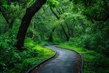 Fototapeta premium A winding road curves its way through a dense and vibrant green forest with towering trees, A pathway meandering through a lush green forest, AI Generated