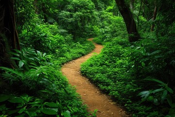 A picturesque path leads through the dense green forest, creating a picturesque scene with sunlight filtering through the trees, A pathway meandering through a lush green forest, AI Generated