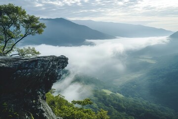 A towering tree stands at the edge of a cliff, overlooking a sea of clouds below, A peaceful mountaintop view overlooking a misty valley, AI Generated
