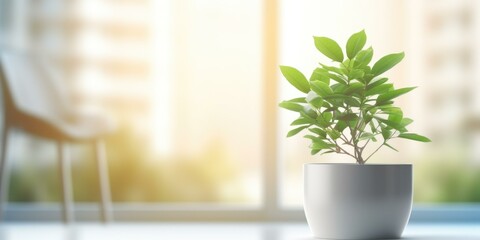 A plant in a white pot on a table in front of a window. Generative AI.