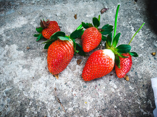 Red ripe fresh strawberries. Close up, top view. background from freshly harvested strawberries, directly above.