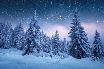 Fototapeta na wymiar A picturesque snowy forest with trees covered in a thick layer of snow, creating a stunning winter landscape, A snow-covered pine forest under a starry night sky, AI Generated