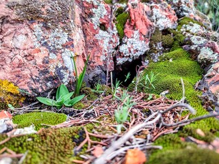 A rock in Boukorinine