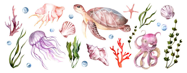Collection of sea watercolor illustrations. Ocean animals and algae isolated on white background. Hand drawn seashells, turtle and octopus for design and cards