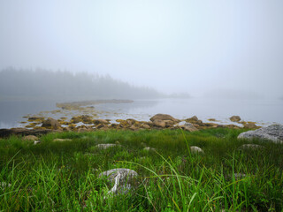 Low tide shallow harbor and marsh in rain fog and mist at Port Felix Nova Scotia - 727396297