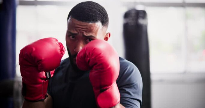 Black man, fighter and boxing gloves in self defense, MMA or martial arts training at gym or dojo. Portrait of Active or serious African male person punching for practice, exercise or indoor workout