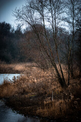 Mystery lake and forest in autumn colors . Lake in frost . Red colors . Fall on lake . House and buildings on the beach . Fishing house on the lake 