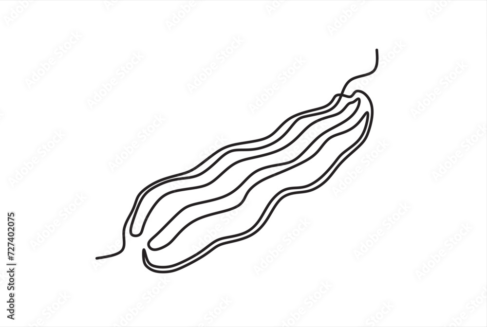Poster continuous one line drawing strip of bacon