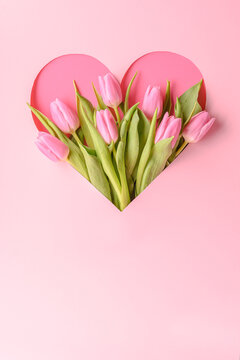 Fototapeta a bouquet of pink tulips in a heart on a pink background, a romantic greeting for the holiday, Mother's Day