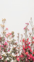 spring flowers against a pristine white background, leaving ample space for text placement at the top of the composition, while showcasing the vibrant blooms at the bottom.