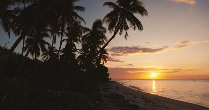 Palm trees with sunrise or sunset at tropical beach and quiet ocean in tropics