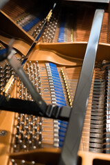 Grand piano close up of strings and hammers inside parts