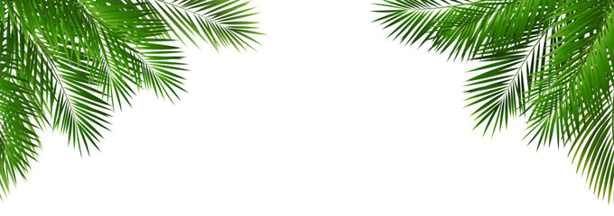 palm tree frame © barbaliss