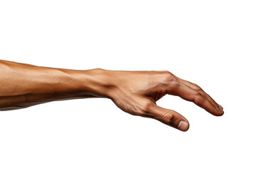 people hands transparent