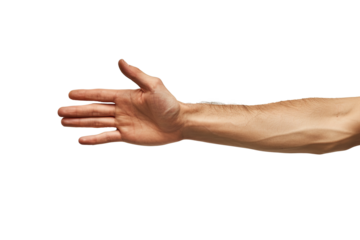 people hands transparent