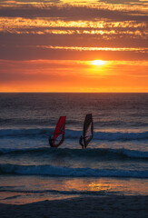 A couple windsurfing during a golden sunset at sunset beach, Cape Town, South Africa
