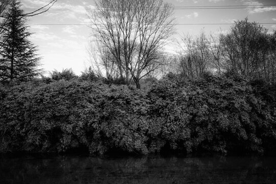 A la orilla del rio Tea, Ponteareas