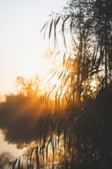 Fototapeta premium sunset over the river