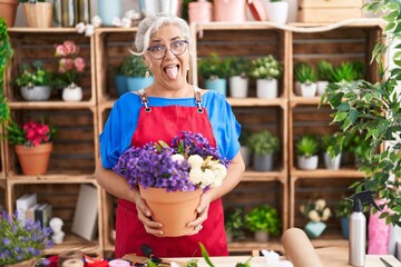 Middle age woman with grey hair working at florist shop holding plant sticking tongue out happy with funny expression.