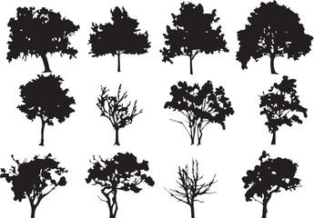 Set Trees. Hand drawn vector illustration