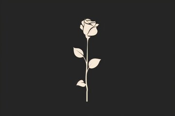 A stark contrast between light and dark, a solitary white rose stands out among the darkness, symbolizing resilience and beauty in the face of adversity