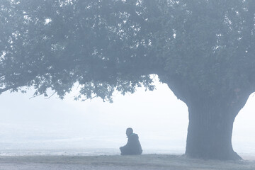 Lone figure under a tree in a misty field