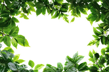 Beautiful green frame with leaves, cut out - stock png.