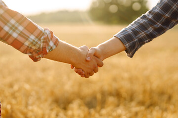 Two farmers shake hands after a fraction in a golden wheat field. Farm agreement. Negotiation....