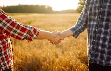 Two farmers shake hands after a fraction in a golden wheat field. Farm agreement. Negotiation. Agriculture concept.